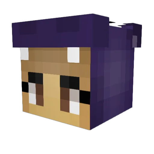 Skaylii Minecraft avatar head, 3D render