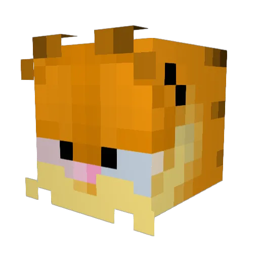 Skechthe2 Minecraft avatar head, 3D render