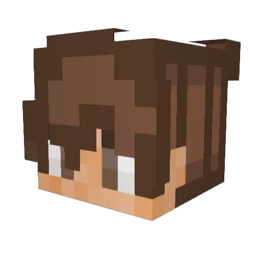 Skedxz Minecraft avatar head, 3D render