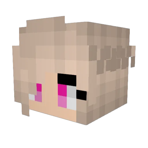 Skeelourskee Minecraft avatar head, 3D render