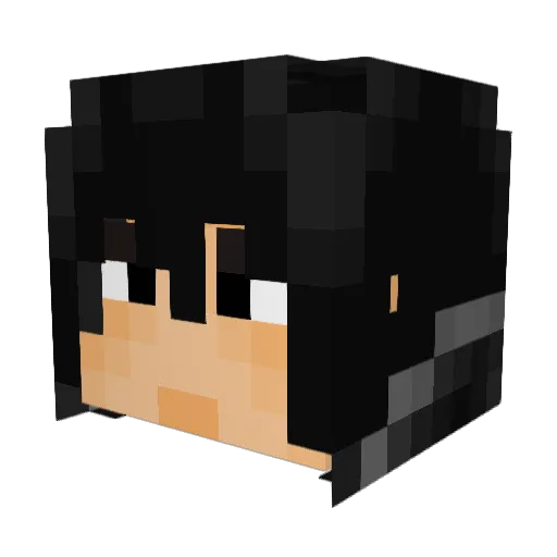 Skeep Minecraft avatar head, 3D render