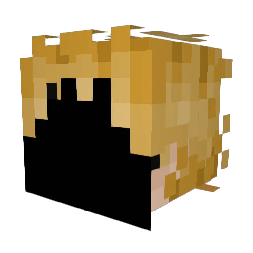 Skeepy079 Minecraft avatar head, 3D render