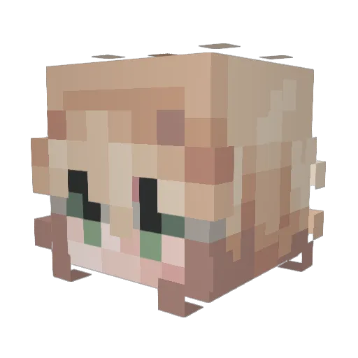Skeevile Minecraft avatar head, 3D render