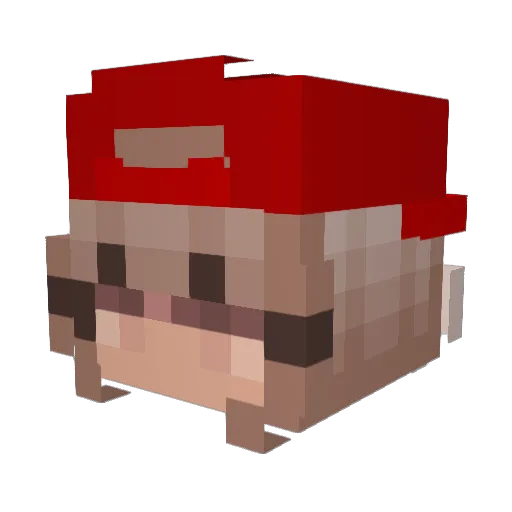 Skeewats Minecraft avatar head, 3D render