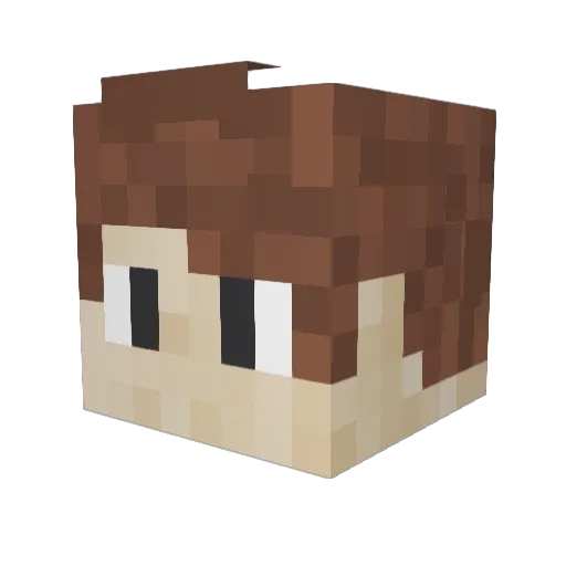Skelaustin Minecraft avatar head, 3D render