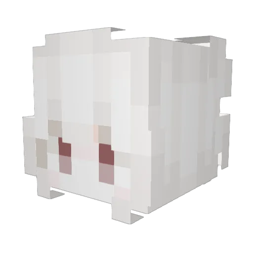 Skelde_ Minecraft avatar head, 3D render