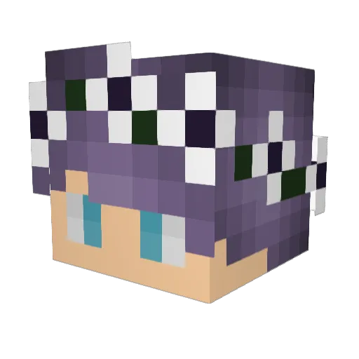 Skele6119 Minecraft avatar head, 3D render