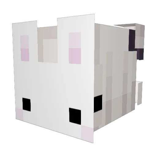 Skelec0re Minecraft avatar head, 3D render