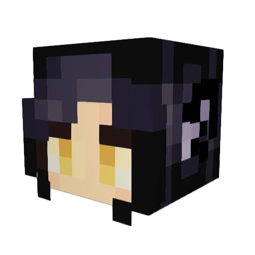Skelet0nCat Minecraft avatar head, 3D render