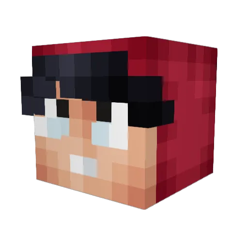 SkeletalDegree1 Minecraft avatar head, 3D render