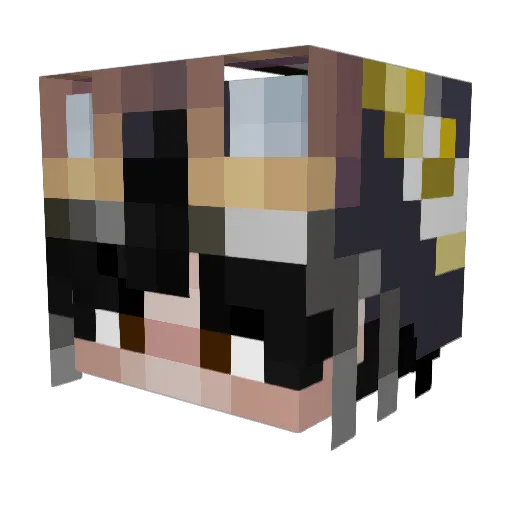 Skeletal_ Minecraft avatar head, 3D render