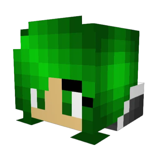 Skeletal_KKat Minecraft avatar head, 3D render