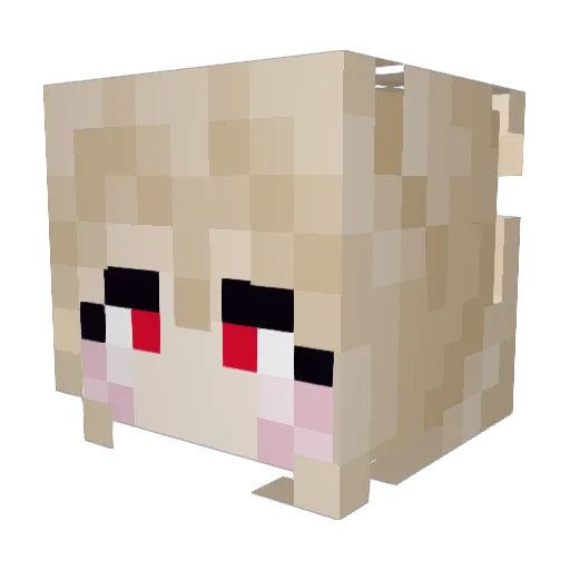 Skeletom_ Minecraft avatar head, 3D render
