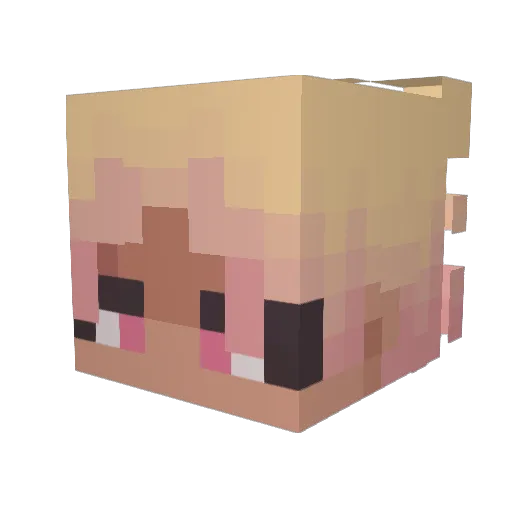 Skeleton752 Minecraft avatar head, 3D render