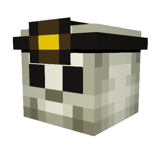SkeletonLover420 Minecraft avatar head, 3D render