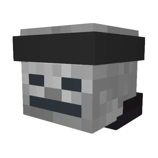 SkeletonNinja001 Minecraft avatar head, 3D render