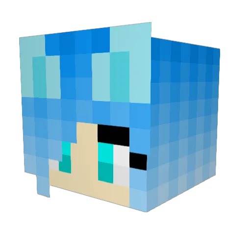 SkeletonPlayzYT Minecraft avatar head, 3D render