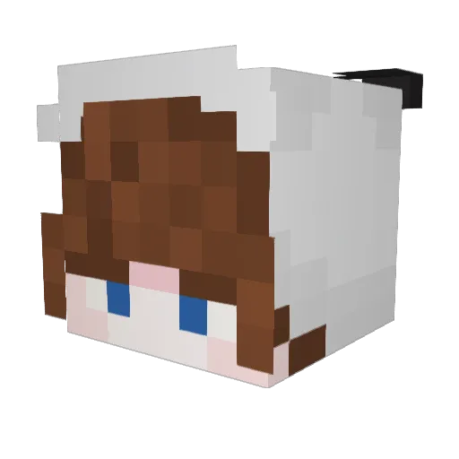 Skeleton_HD01 Minecraft avatar head, 3D render