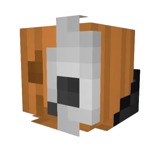 Skeletor741 Minecraft avatar head, 3D render