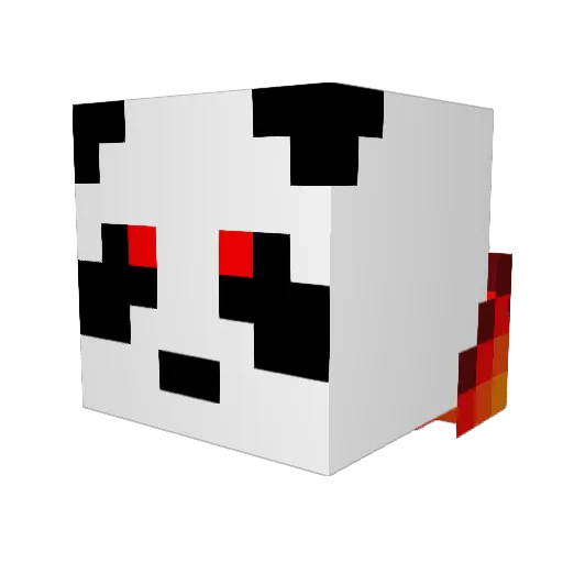 Skeletor96 Minecraft avatar head, 3D render
