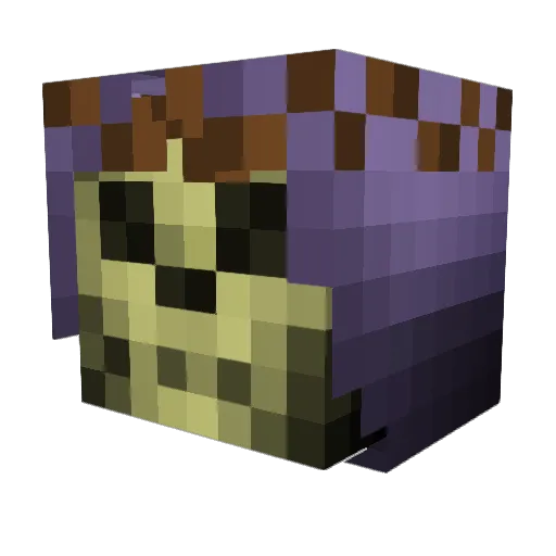 Skeletor_Jesus Minecraft avatar head, 3D render