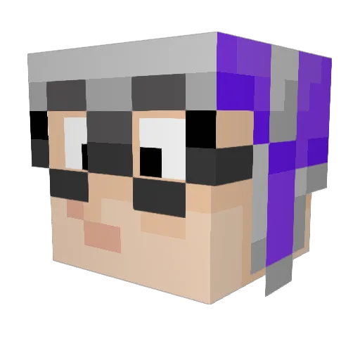 Skeletron811 Minecraft avatar head, 3D render