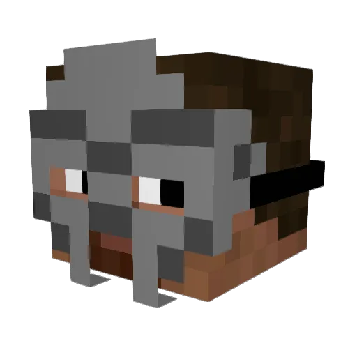 SkellMagne Minecraft avatar head, 3D render
