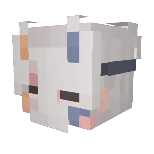 Skelleton_skoll Minecraft avatar head, 3D render