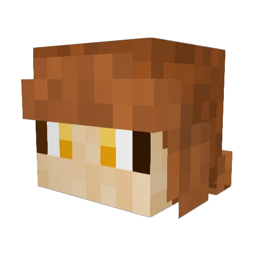Skelletonking19 Minecraft avatar head, 3D render