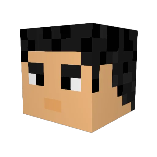 Skelletor08 Minecraft avatar head, 3D render
