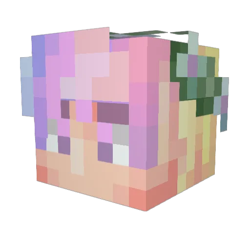 Skelletor822 Minecraft avatar head, 3D render