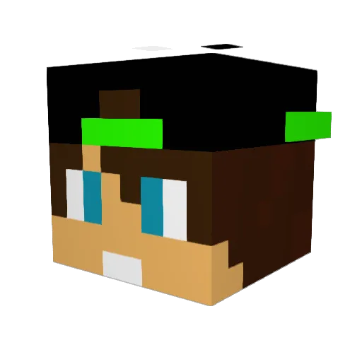 Skellis_ Minecraft avatar head, 3D render