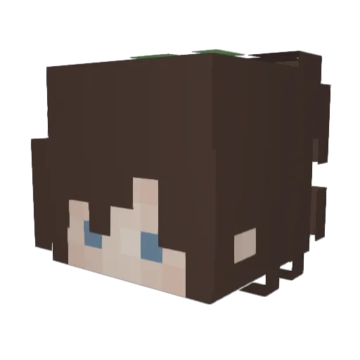 Minecraft-Avatar von SkellyFables: Kopf als 3D-Render