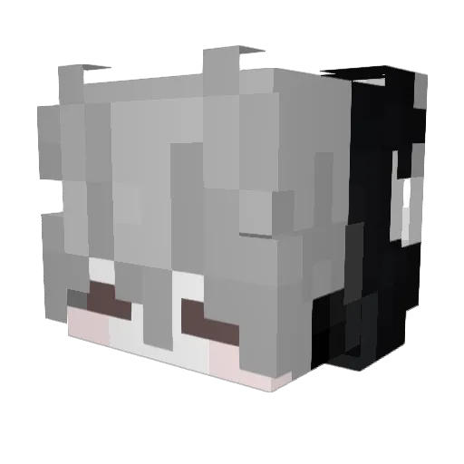 Skelsz Minecraft avatar head, 3D render