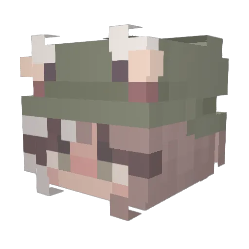Skelzion Minecraft avatar head, 3D render