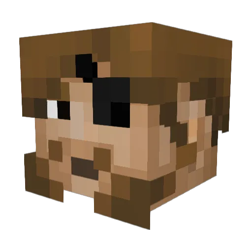 Sken Minecraft avatar head, 3D render