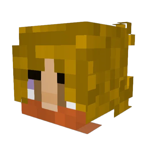 SkeppySause Minecraft avatar head, 3D render