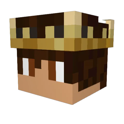 Skeptic491 Minecraft avatar head, 3D render