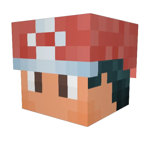 SkepticalKiwi Minecraft avatar head, 3D render