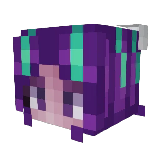 Skeptical_Shadow Minecraft avatar head, 3D render