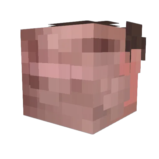 Skeptoid Minecraft avatar head, 3D render