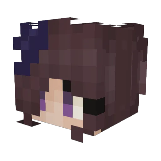 Skertelles Minecraft avatar head, 3D render