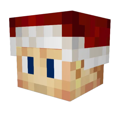 Skeryy Minecraft avatar head, 3D render