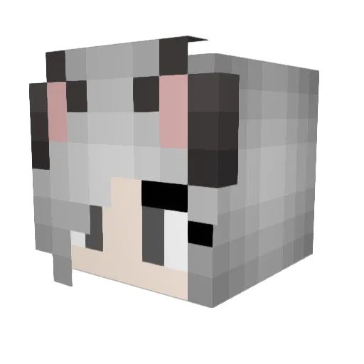 Skessel Minecraft avatar head, 3D render