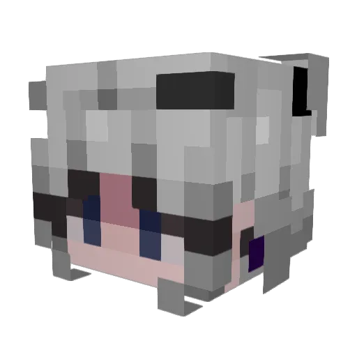 Sketchacat Minecraft avatar head, 3D render