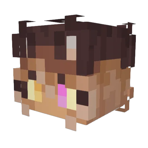 SketchbookYoshi Minecraft avatar head, 3D render