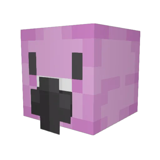 SketchedFlamingo Minecraft avatar head, 3D render