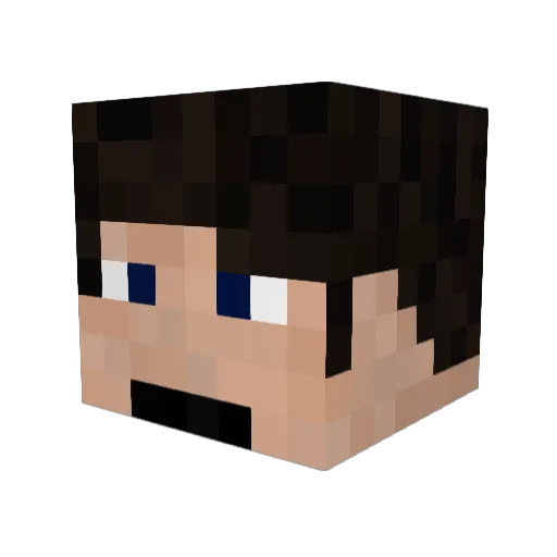 Sketchman911 Minecraft avatar head, 3D render
