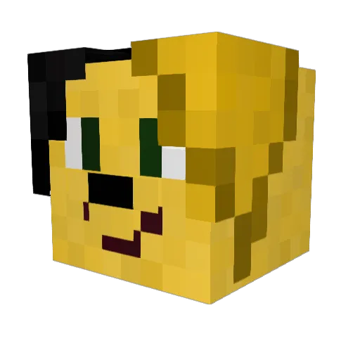SketchyFennec Minecraft avatar head, 3D render