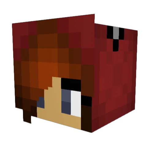 Skettles01 Minecraft avatar head, 3D render